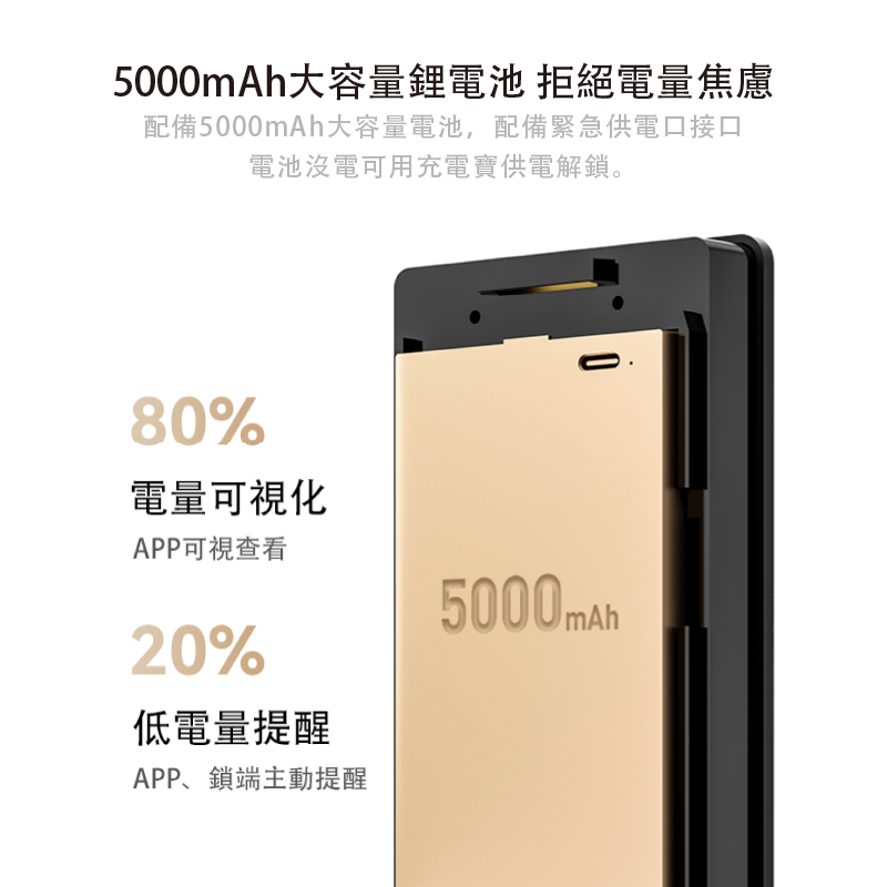 大容量電池